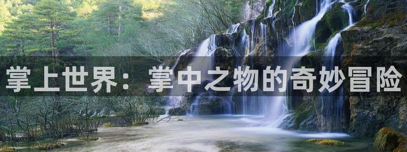 包子漫画免费进入：掌上世界：掌中之物的奇妙冒险