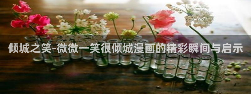 分类包子漫画：倾城之笑-微微一笑很倾城漫画的精彩瞬间与启示